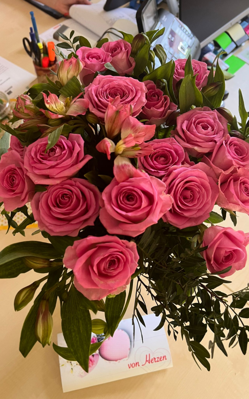 versandkostenfrei bestellen 7-Tage-Frischegarantie 50 cm Länge Sweet Suprise rosa Rosen-Inkalilien mit 30 Stielen 120 Blüten 