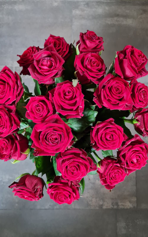 Flowrframe Blumenstrauß Herrlich mit Red Naomi-Rosen ohne Vase Red Naomi 